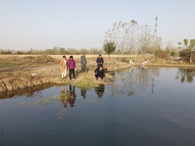 省體系專家赴鳳臺縣調研指導小龍蝦產業發展