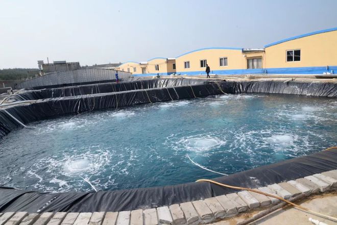 水產界女CEO花25年打造飼料、蝦苗、動保小產業鏈 !如今她聘請泰國專家、聯手正大,發力蝦苗板塊 | 尋找中國好蝦苗