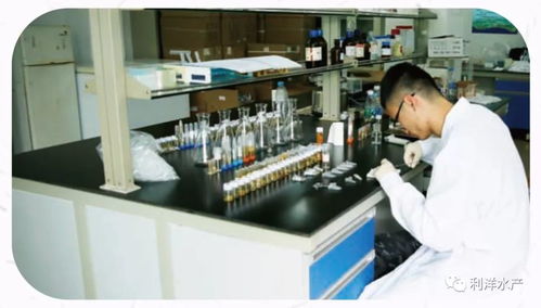 系統檢測 精準服務 讓水產養殖更可控