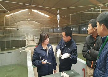 告別&ldquo;嗑藥&rdquo;魚!我國首個海水魚活疫苗投產應用_新聞_央視網(wǎng)(cctv.com)