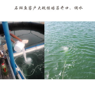 小球藻柵藻營(yíng)養(yǎng)鹽快速穩(wěn)定擴(kuò)培