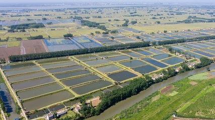 澳洲淡水龍蝦種苗生產(chǎn)孵化企業(yè)湖北首達(dá)農(nóng)業(yè)實(shí)業(yè)獲A輪融資6800萬(wàn)元