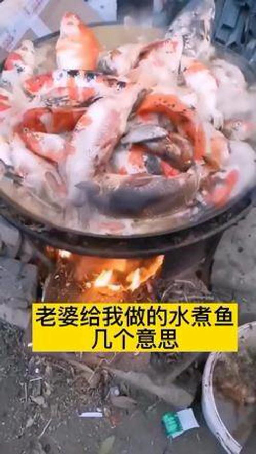 釣魚(yú) 魚(yú) 農(nóng)村 農(nóng)村生活 水產(chǎn)養(yǎng)殖技術(shù) 捕魚(yú)