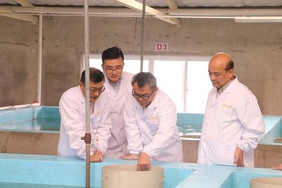 正大集團(tuán)水產(chǎn)事業(yè)首席運(yùn)營(yíng)官Dr. Sujint一行蒞臨正大集團(tuán)農(nóng)牧食品企業(yè)(中國(guó))中南區(qū)指導(dǎo)小龍蝦產(chǎn)業(yè)發(fā)展