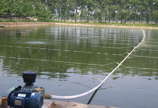 您還在為養殖過程中的氨氮超標頭疼不已嗎