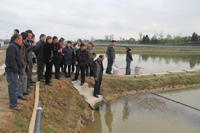 專家來武漢蝦龍水產養殖開發開展龍蝦養殖技術研發工作