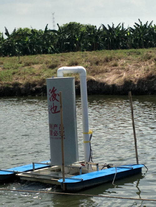 創洋池塘底部增氧機 科技讓水產養殖更省心