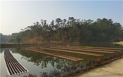 市中區:專業指揮部&ldquo;夯基&rdquo; 園區建設出彩出效