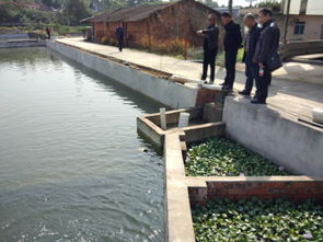 寧夏水產技術推廣站一行到四川成都龍泉參觀學循環水養殖模式