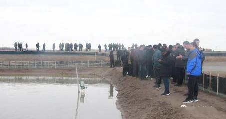 火爆!現場定苗8000斤,十幾年扣蟹養殖戶:瑞灃苗,良心苗,豐收苗!