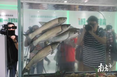 從南沙科學城到生命科學城,科創高地為何如此重視農業?