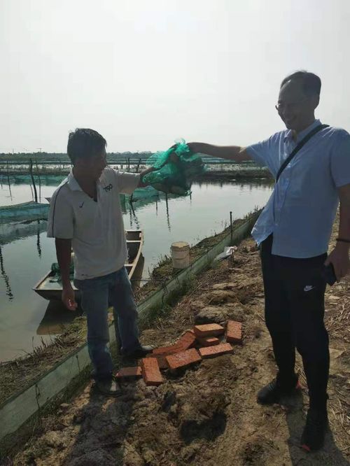 市水產技術推廣站技術人員到戶進行河蟹養殖技術指導